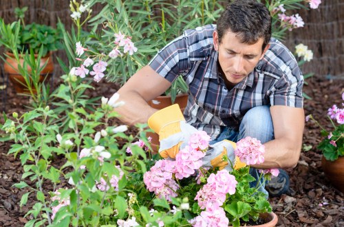 Gardener reviewing insurance paperwork and safety checklist on site